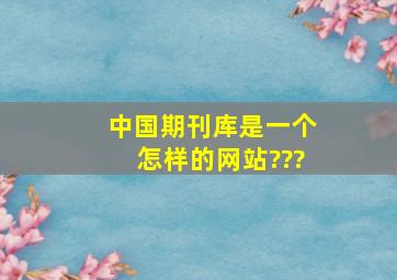 中国期刊库是一个怎样的网站???