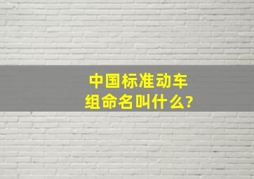 中国标准动车组命名叫什么?