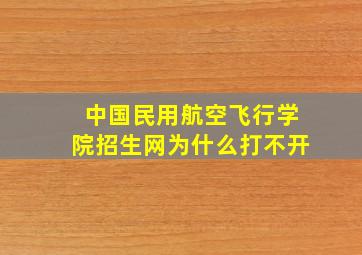 中国民用航空飞行学院招生网为什么打不开