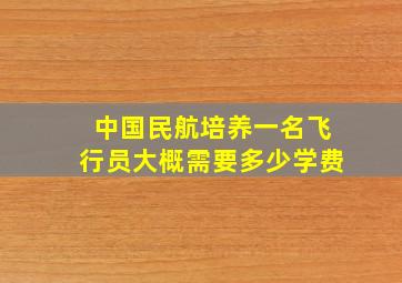 中国民航培养一名飞行员大概需要多少学费