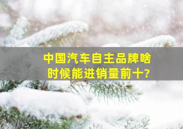 中国汽车自主品牌啥时候能进销量前十?