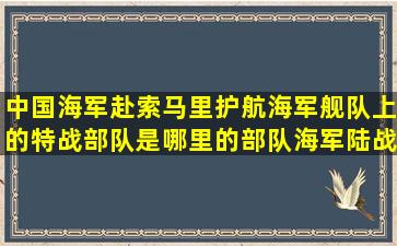 中国海军赴索马里护航海军舰队上的特战部队是哪里的部队,海军陆战队特...