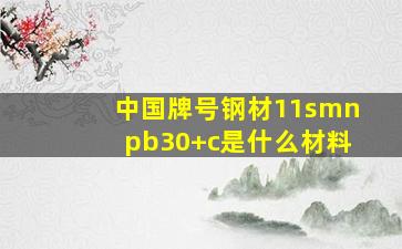 中国牌号钢材11smnpb30+c是什么材料