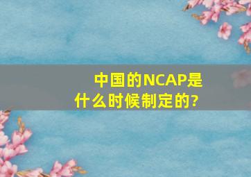 中国的NCAP是什么时候制定的?