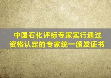 中国石化评标专家实行(),通过资格认定的专家统一颁发证书。