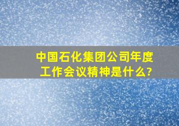 中国石化集团公司年度工作会议精神是什么?