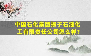 中国石化集团扬子石油化工有限责任公司怎么样?