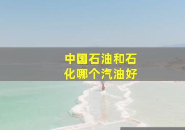 中国石油和石化哪个汽油好