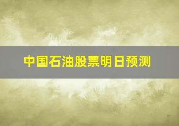 中国石油股票明日预测