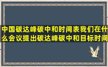 中国碳达峰碳中和时间表我们在什么会议提出碳达峰碳中和目标时间