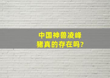 中国神兽凌峰猪真的存在吗?