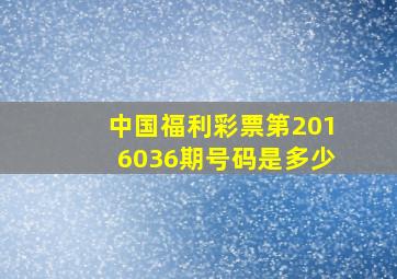 中国福利彩票第2016036期号码是多少