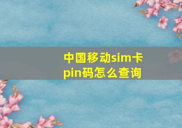 中国移动sim卡pin码怎么查询