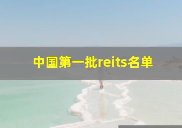 中国第一批reits名单