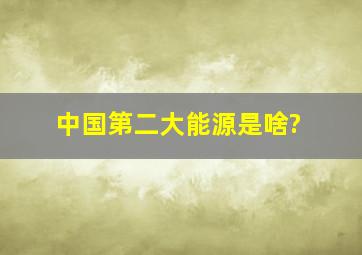 中国第二大能源是啥?