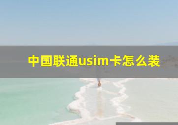 中国联通usim卡怎么装