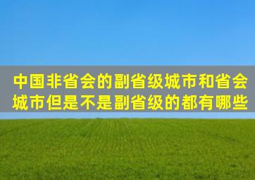 中国非省会的副省级城市和省会城市但是不是副省级的都有哪些