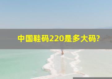 中国鞋码220是多大码?