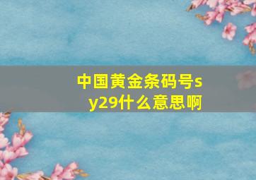 中国黄金条码号sy29什么意思啊