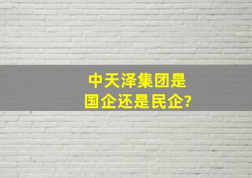 中天泽集团是国企还是民企?