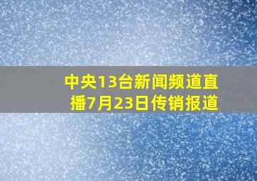 中央13台新闻频道直播7月23日传销报道