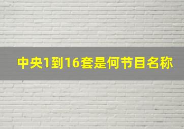 中央1到16套是何节目名称