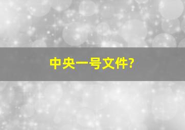 中央一号文件?