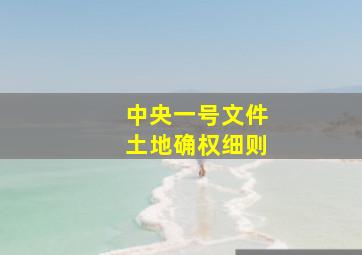 中央一号文件土地确权细则