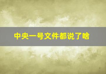 中央一号文件都说了啥