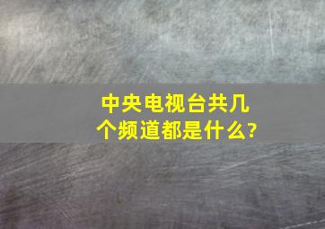 中央电视台共几个频道,都是什么?