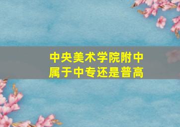 中央美术学院附中属于中专还是普高