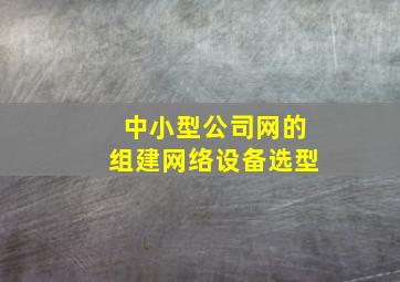 中小型公司网的组建网络设备选型