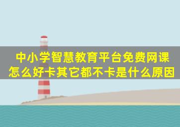 中小学智慧教育平台免费网课怎么好卡其它都不卡是什么原因