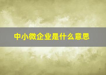 中小微企业是什么意思