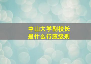 中山大学副校长是什么行政级别