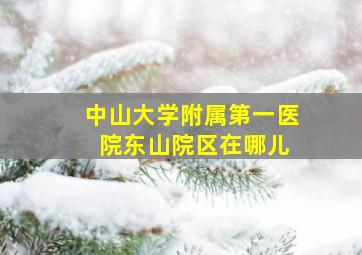 中山大学附属第一医 院东山院区在哪儿