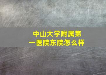 中山大学附属第一医院东院怎么样