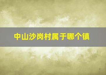 中山沙岗村属于哪个镇