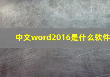 中文word2016是什么软件