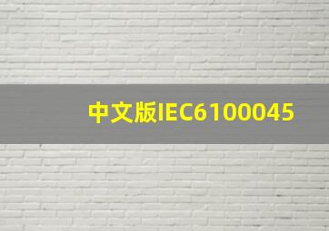 中文版IEC6100045
