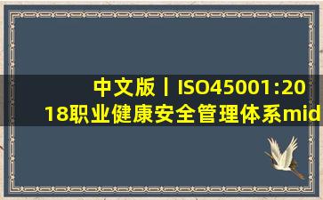 中文版丨ISO45001:2018职业健康安全管理体系·使用指南要求·解读