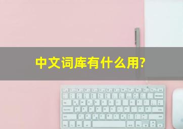 中文词库有什么用?