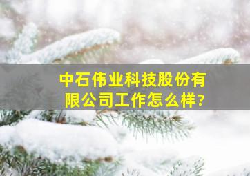 中石伟业科技股份有限公司工作怎么样?