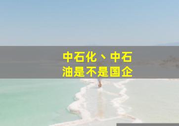 中石化丶中石油是不是国企