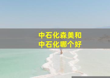 中石化森美和中石化哪个好