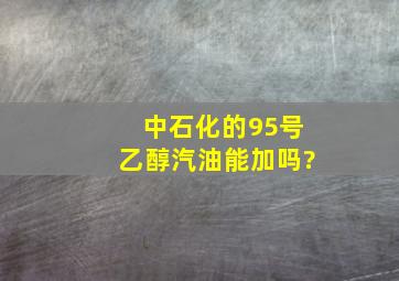 中石化的95号乙醇汽油能加吗?