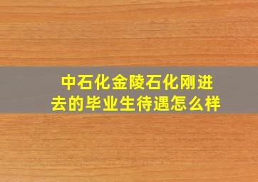 中石化金陵石化刚进去的毕业生待遇怎么样(