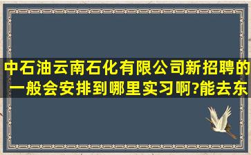 中石油云南石化有限公司新招聘的一般会安排到哪里实习啊?能去东北...