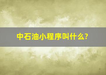 中石油小程序叫什么?