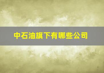 中石油旗下有哪些公司